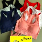 نیمتنه قهرمانی جیم شارک و اَلو (۲۴۸ ت)